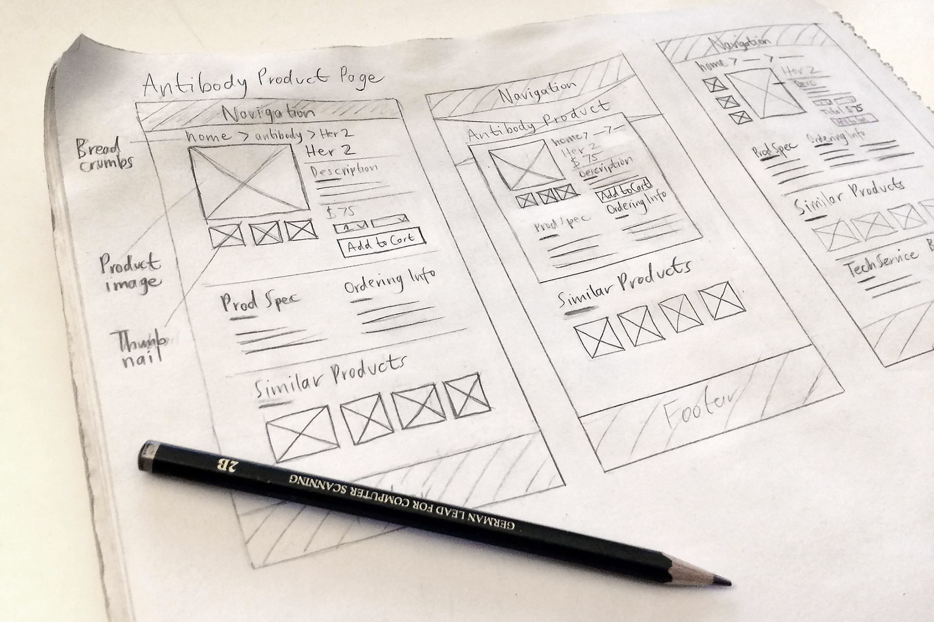 GenomeMe website wireframes